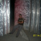 maksim, 37 (5 , 0 )