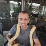 Artak, 49