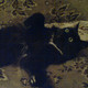 МАКСИМ, 37