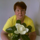 OLGA, 59 (1 , 0 )