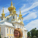 Алена, 42