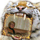 Elena, 65