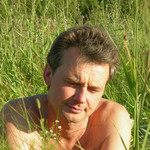 , 53
