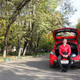 Дмитрий, 35