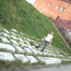 Зверь, 39