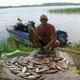 dima, 56 (1 , 0 )
