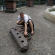 Максим, 42