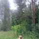 Кристина, 40