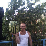  , 46 (1 , 0 )