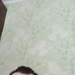  , 41 (3 , 0 )