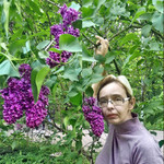 , 43 (1 , 0 )