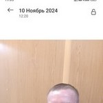 , 51 (1 , 0 )